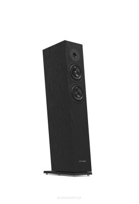 Pylon Audio Diamond 25 mkII Kolumny Stereo Natural Czarny/lakier bezbarwny Autoryzowany Dealer