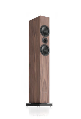 Pylon Audio Zircon 20 Kolumny Stereo Orzech Amerykański (nat. okleina) Autoryzowany Dealer