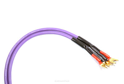 Melodika MDSC2575s Kabel głośnikowy OFC 4N 2x2,5mm2 - 7,5m 2szt.